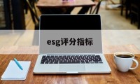 esg评分指标(esspri评分表)