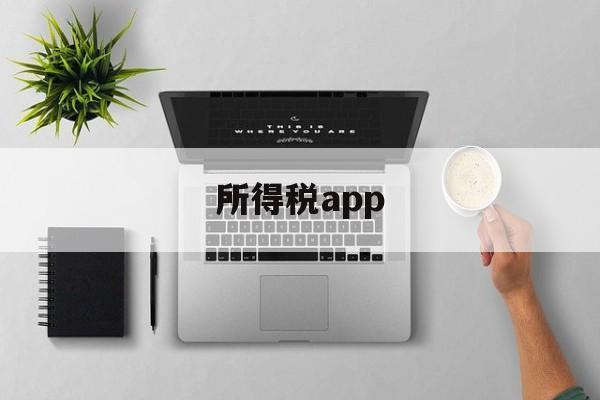 所得税app(怎样下载个人所得税app)