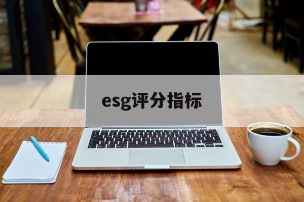 esg评分指标(esspri评分表)